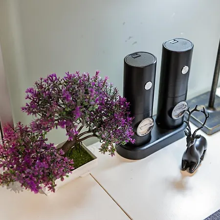 Bergstudio I I Laax I I Caumasee Appartement