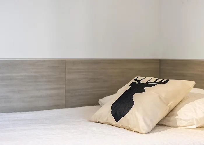 Bequemes zentrales Apartment&Terrasse Apartment Flims