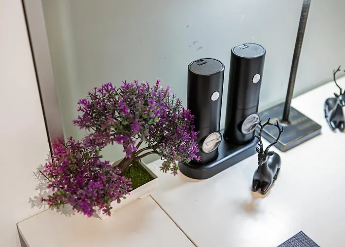 Bequemes zentrales Apartment&Terrasse Apartment