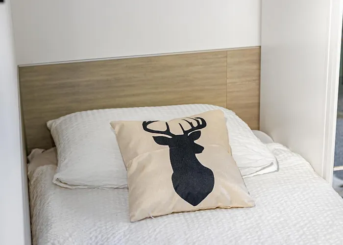 Bequemes zentrales Apartment&Terrasse Flims